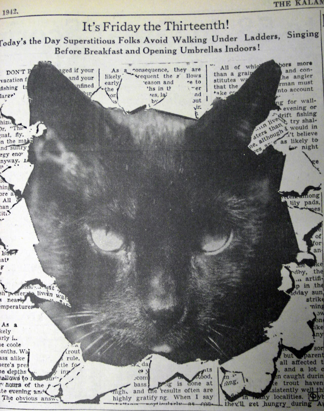 Cat image